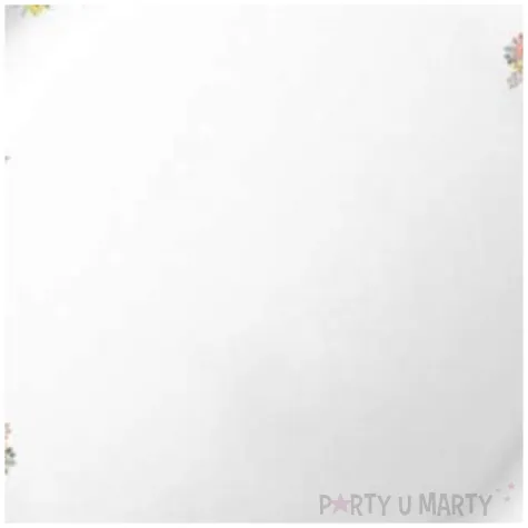 talerzyki papierowe rowery fsopakowania 23 cm 8 szt