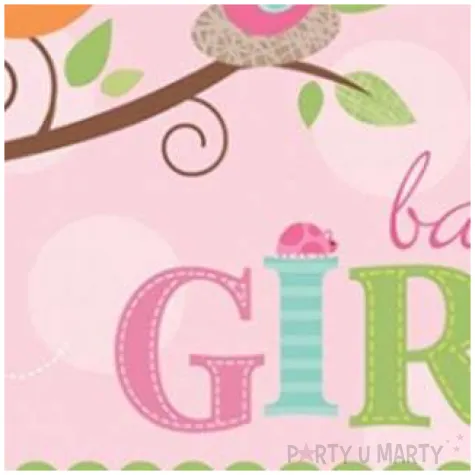 talerzyki papierowe tweet baby girl kwadratowe 18 cm 8 szt