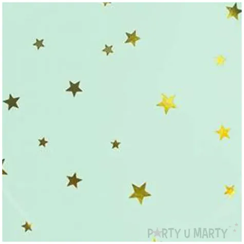 talerzyki papierowe zlote gwiazdki mietowy partypal 18 cm 6 szt