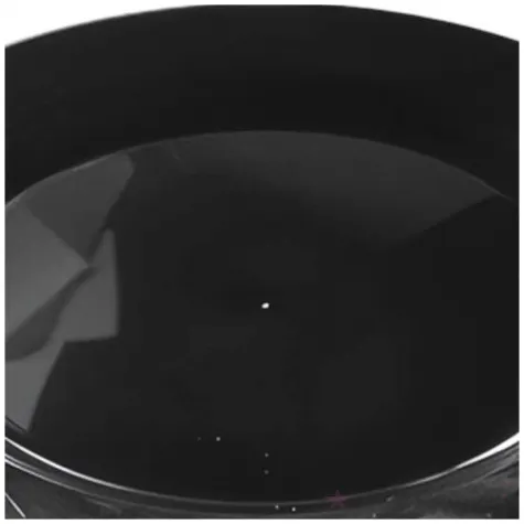 talerzyki plastikowe classic czarny aluplast 24 cm 12 szt