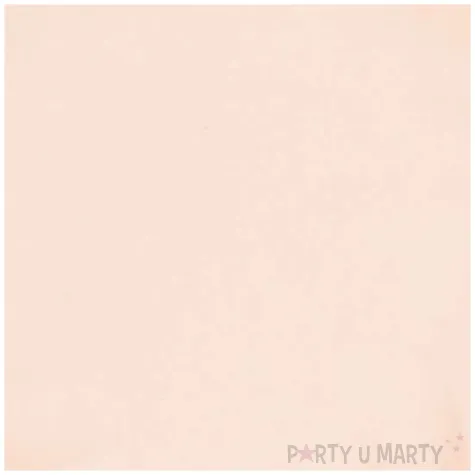 talerzyki vert decor twist morelowy amscan 22 9 cm 6 szt