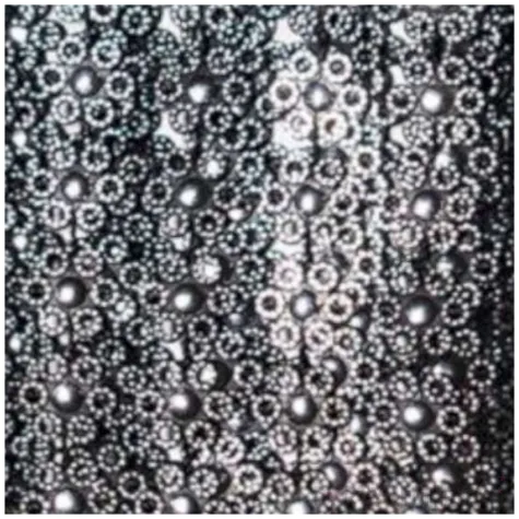 tasiemka koronkowa kwiatki czarno srebrna aliga 50 cm