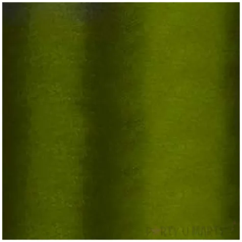 tasiemka satynowa zielona 50 mm 25 m