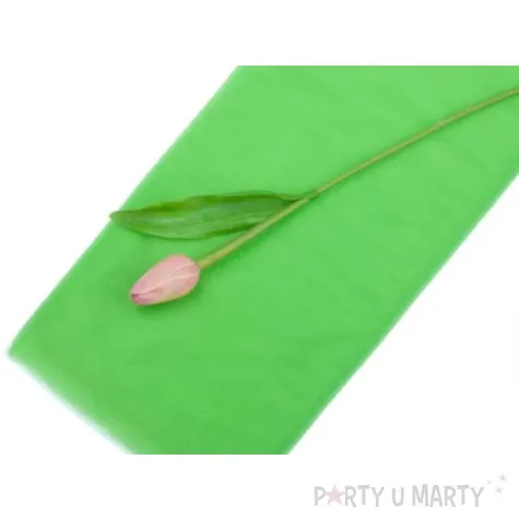 tiul drobny jasnozielony 150 cm x 10 m 1 szt