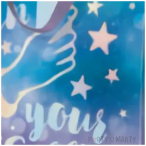 torebka prezentowa selfie holo paw 26x33 cm