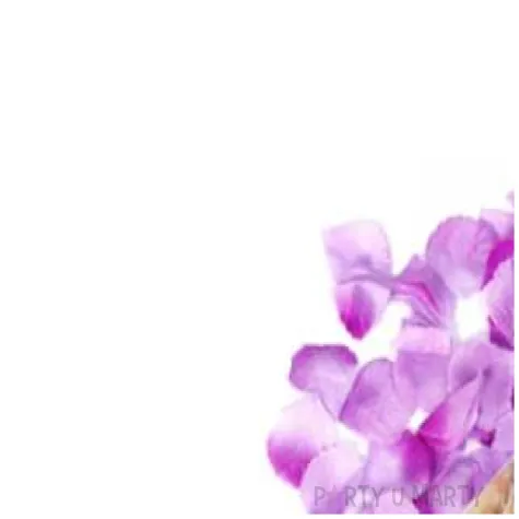 tuba strzelajaca platki roz liliowe 60 cm