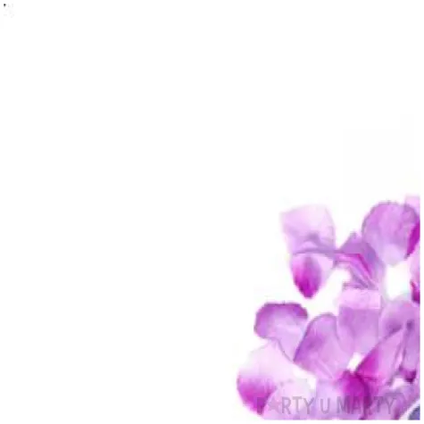 tuba strzelajaca platki roz liliowe 80 cm