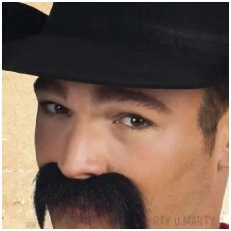 wasy party gringo meksykanin boland