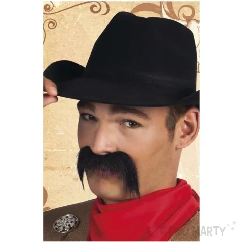 wasy party gringo meksykanin boland