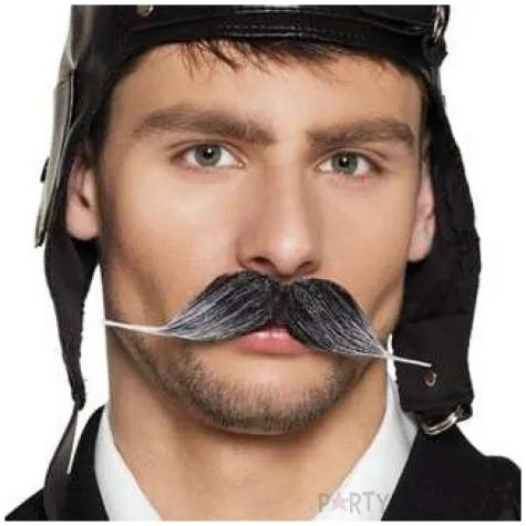 wasy party pilot boland