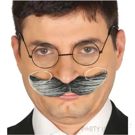 wasy party polityk szare guirca