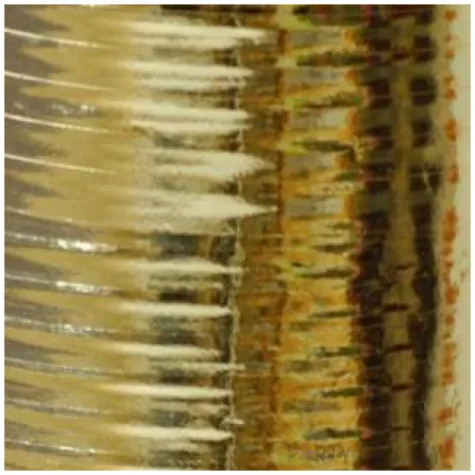 wstazka do balonow classic sx zlota santex 7 mm 250 m