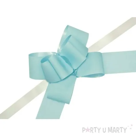 wstazka sciagana classic 5 cm partydeco blekitna 10 szt