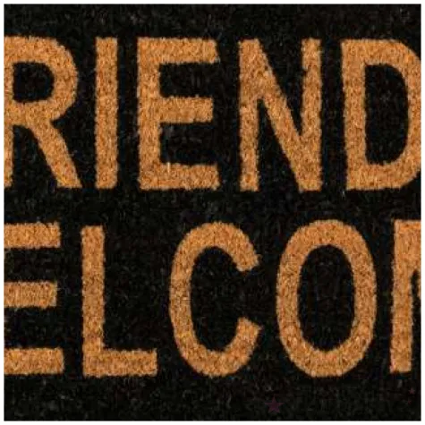 wycieraczka friends welcome ootb 60x40 cm