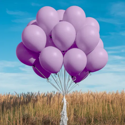 xx bl balony decomex 5 pastel dusty rose 100 szt