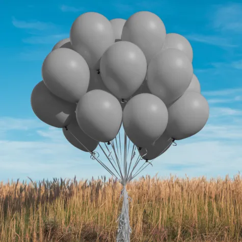 xx bl balony decomex 5 pastel grey 100 szt