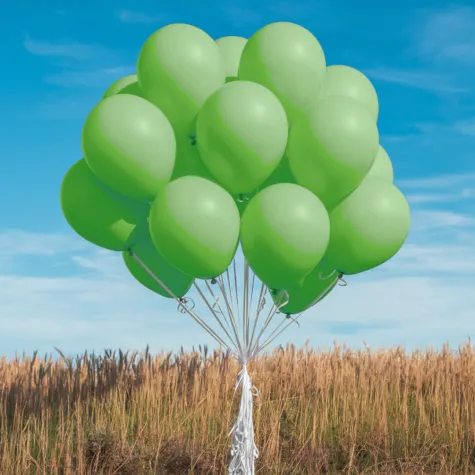 xx bl balony decomex 5 pastel lime green 100 szt