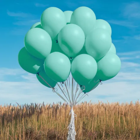 xx bl balony decomex 5 pastel matte green 100 szt