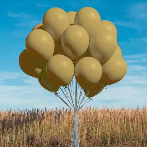 xx bl balony decomex 5 pastel mocha 100 szt