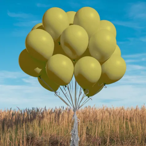 xx bl balony decomex 5 pastel mustard 100 szt