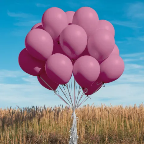 xx bl balony decomex 5 pastel rose 100 szt
