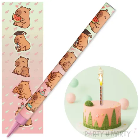 xx fontanna tortowa kapibary