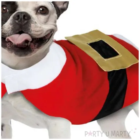 xx noel costume for pets s
