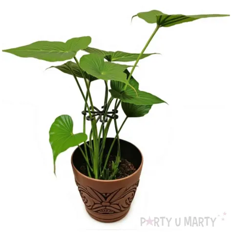 xx podporka do roslin siedem haczykow