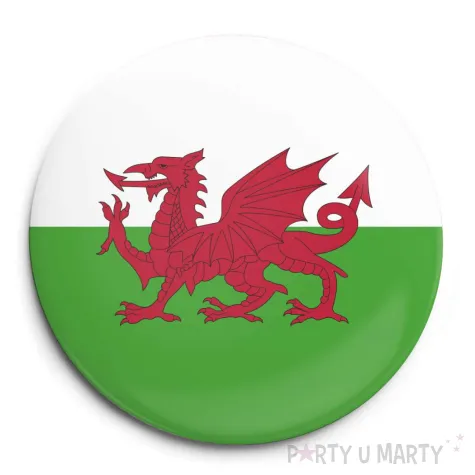 xx przypinka walia panstwa swiata