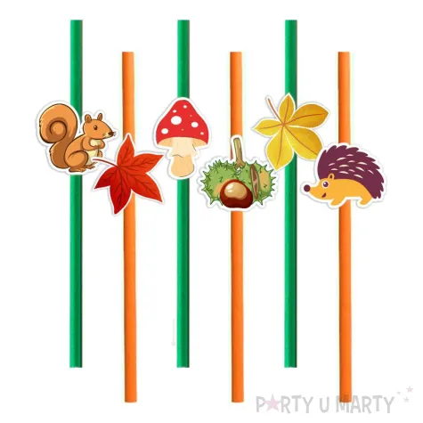 xx slomki jesien mix 6szt