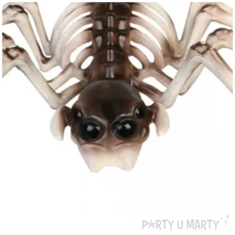 xx spider skeleton prop