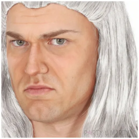 xx warrior wizzard with ponytail wig box i