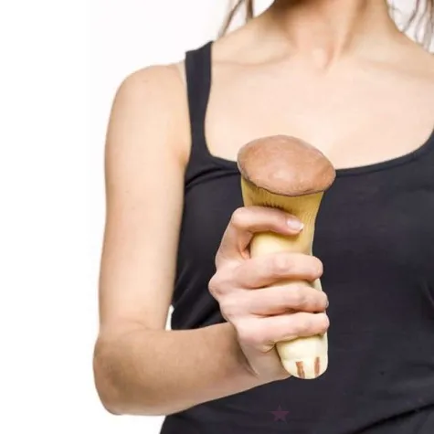 zabawka antystresowa grzyb matsutake gadgetmaster