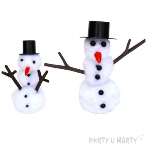 zestaw kreatywny balwanki mix aliga