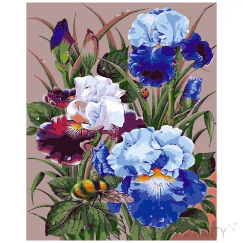 zestaw kreatywny do malowania po numerach kwiaty irysy obraz diy 40 x 50 cm