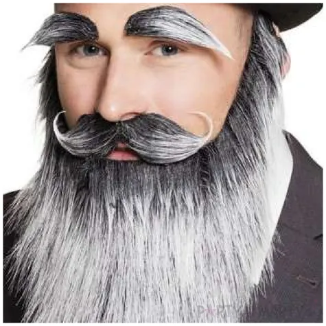 zestaw siwy starzec szary boland