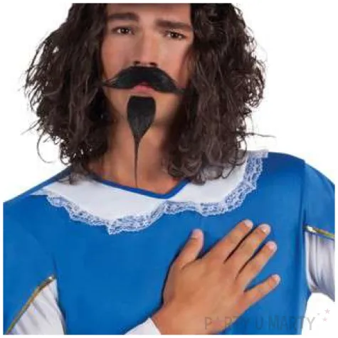 zestaw wasy i broda muszkietera boland