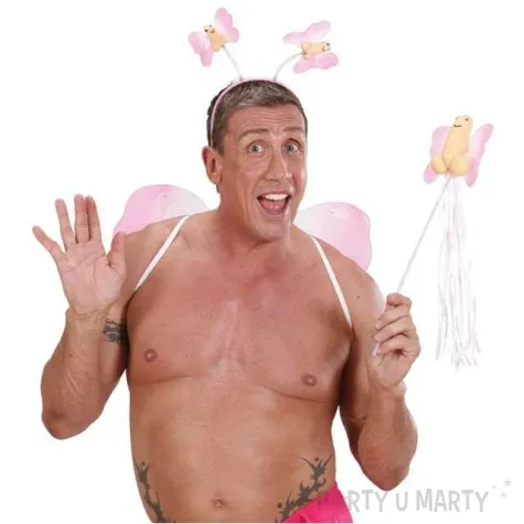 zestaw wrozka peniska widmann