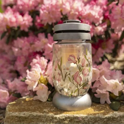 znicz lampion magnolia bolsius 11x23cm