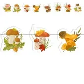 baner jesienne grzybki mix kolor 2 2 m