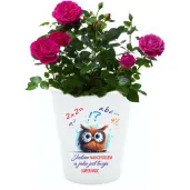 doniczka jestem nauczycielem jaka jest twoja super moc bia y 10 cm