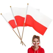 xx flagi na patyczku 3 szt