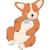 xx serwetki corgi 11x15 cm mix 1 op 12 szt