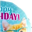 balon foliowy happy birthday koty w okularach jix 18 rnd