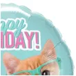 balon foliowy happy birthday koty w okularach qualatex 18 rnd