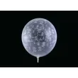 balony 14 crystal clear wiwat mloda para 50szt