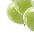 balony ekologiczne oliwkowy partydeco 10 10 szt
