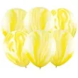 balony marmur zolty partydeco 12 6 szt