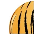 balony tygrysie paski pomaranczowy pastel qualatex 11 25 szt