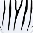 balony zebra paski bialy pastel qualatex 11 25 szt